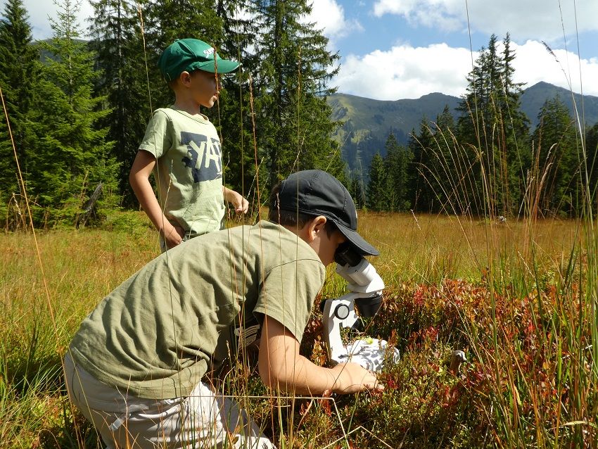 Junior Ranger im Moor