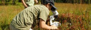 Junior Ranger im Moor