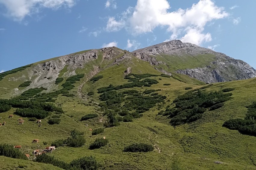 Gramai Hochleger, Hermann Sonntag