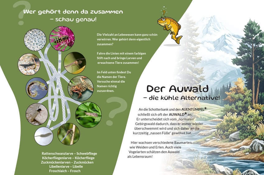 Innenseiten des Entdeckerhefts mit Informationen und Rätseln