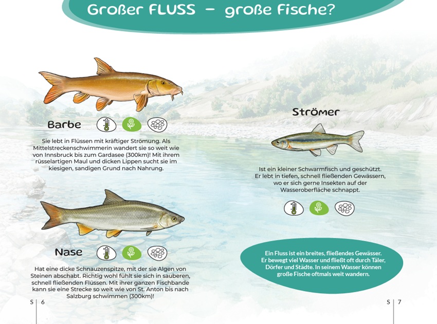 Innenseite des Fischbüchleins mit heimischen Fischarten