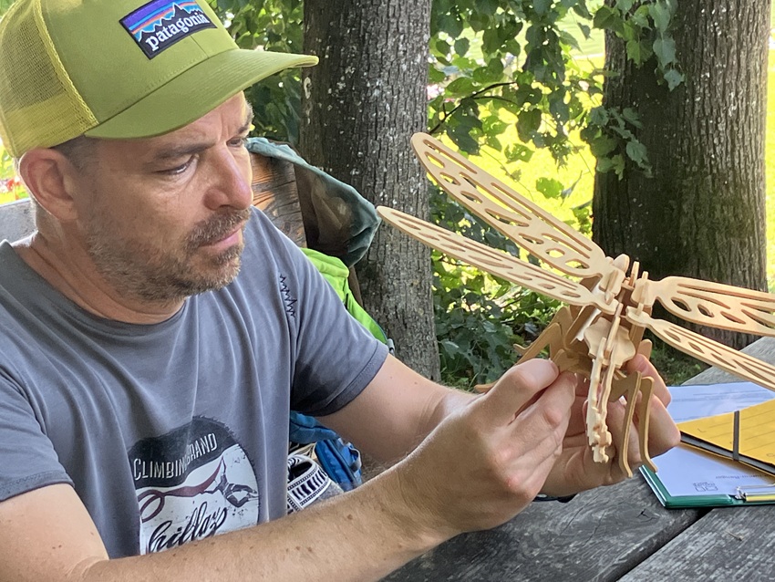Teilnehmende bei einer naturkundlichen Exkursion zu Libellen und Moorlebensräumen