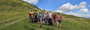 Freiwillige und Almbewirtschafter*innen bei der Almpflege im Alpbachtal